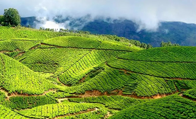 Kerala Fixed Departure Tour