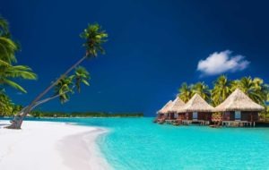 palm trees, beach front, little huts, clear blue skies,