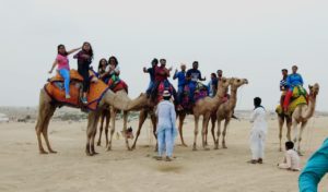 group of people riding on camel,
