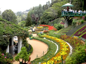 botanical garden of ooty