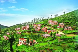 houses on the hill of ooty