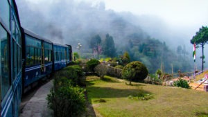 a toy train travelling by a garden