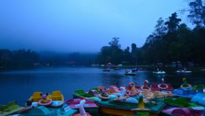 paddle boats, foggy skies, people riding paddle boats
