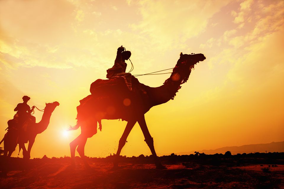 people riding camel