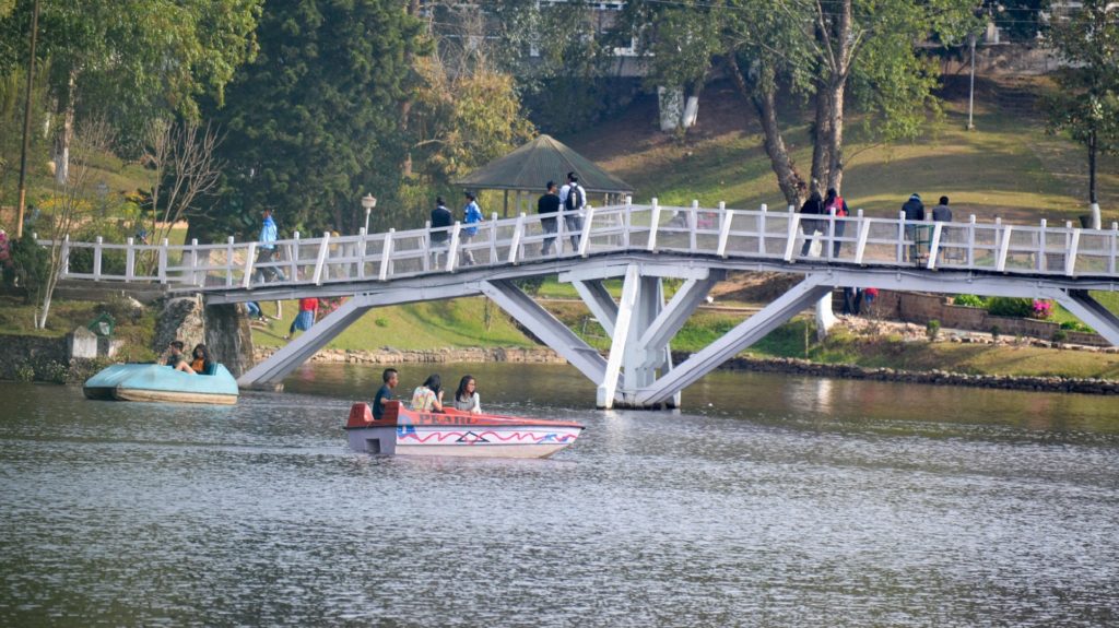 people paddle boating on a pond and some people walking over the bridge