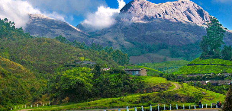 Munnar-banner-img